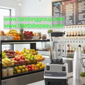 Máy xay sinh tố Vitamix Drink Machine Two Speed