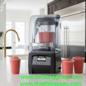 Máy xay sinh tố Vitamix The Quiet One